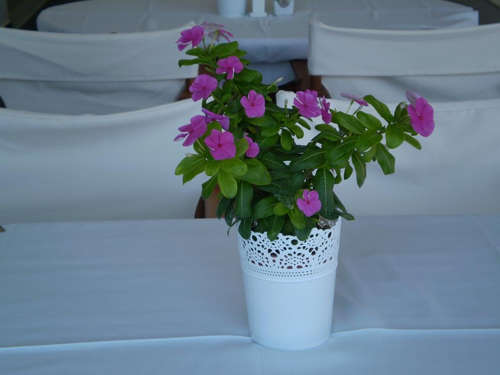 Athena Hotel Milopotamos  Extérieur photo